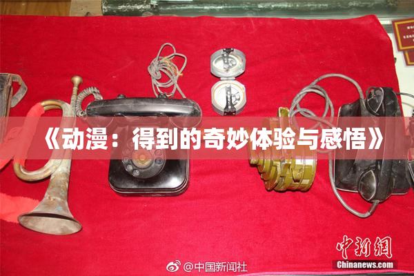 《动漫：得到的奇妙体验与感悟》