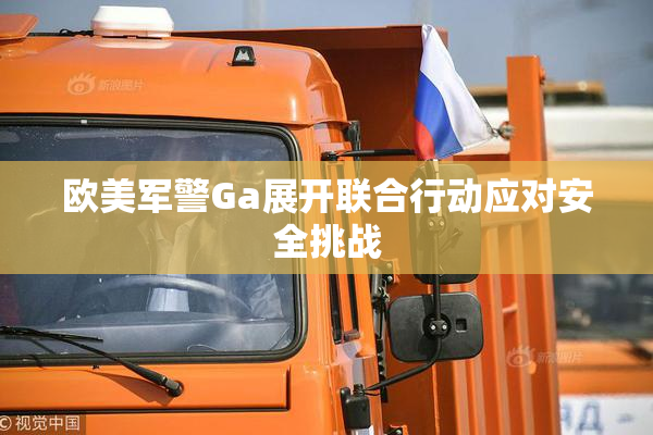 欧美军警Ga展开联合行动应对安全挑战