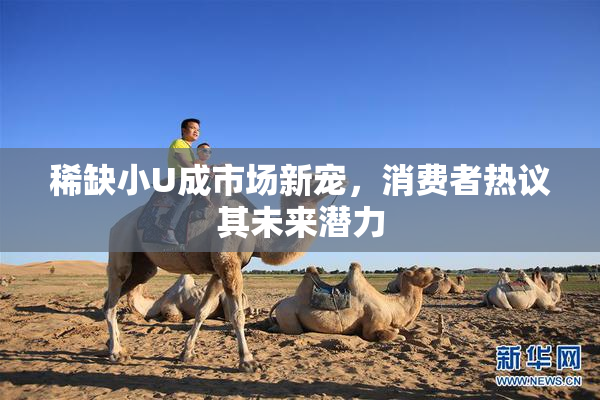 稀缺小U成市场新宠，消费者热议其未来潜力