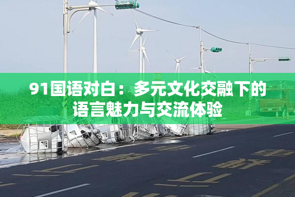 91国语对白：多元文化交融下的语言魅力与交流体验
