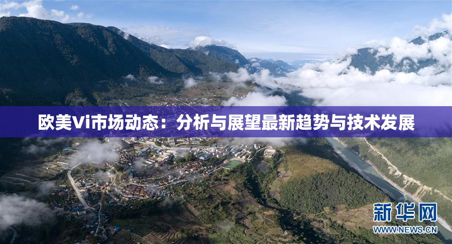 欧美Vi市场动态：分析与展望最新趋势与技术发展