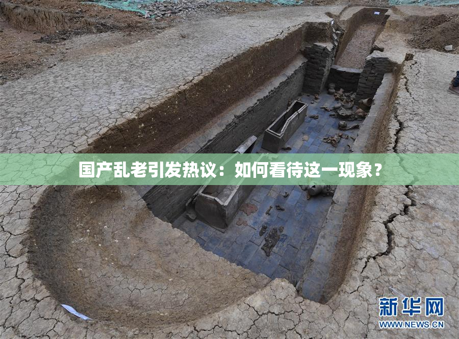 国产乱老引发热议：如何看待这一现象？