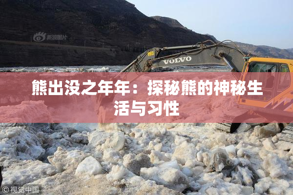 熊出没之年年：探秘熊的神秘生活与习性