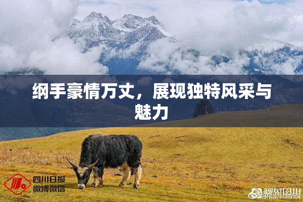 纲手豪情万丈，展现独特风采与魅力
