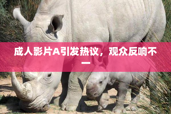 成人影片A引发热议，观众反响不一