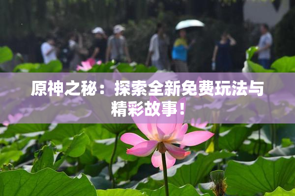 原神之秘：探索全新免费玩法与精彩故事！