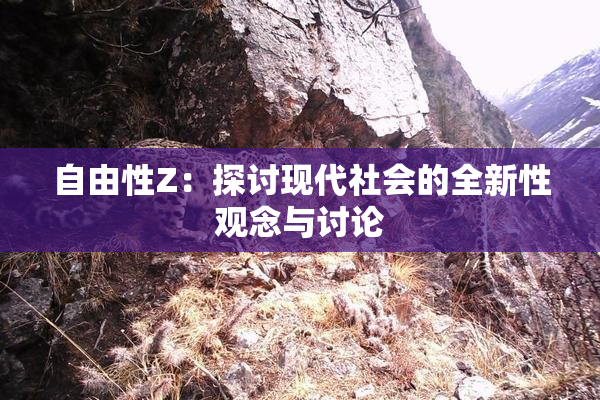 自由性Z：探讨现代社会的全新性观念与讨论