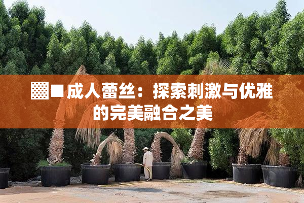 ▓■成人蕾丝：探索刺激与优雅的完美融合之美