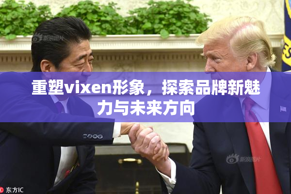 重塑vixen形象，探索品牌新魅力与未来方向