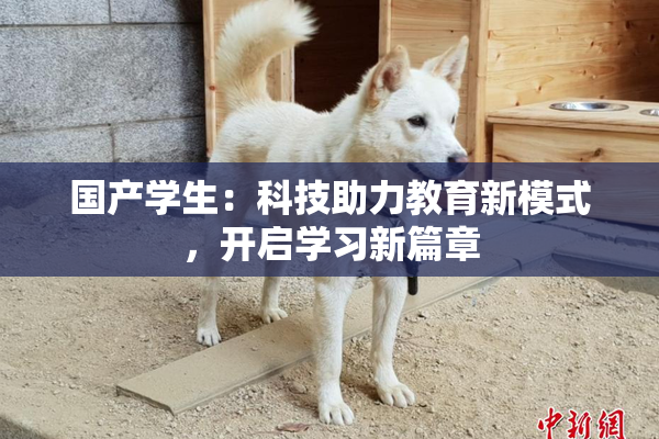 国产学生：科技助力教育新模式，开启学习新篇章