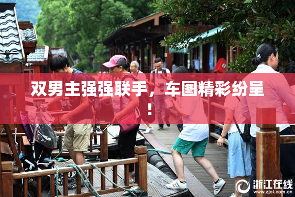 双男主强强联手，车图精彩纷呈！