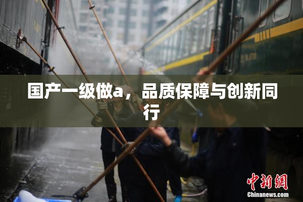 国产一级做a，品质保障与创新同行