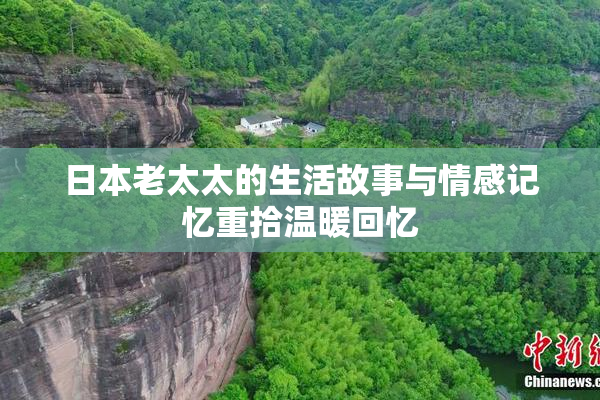 日本老太太的生活故事与情感记忆重拾温暖回忆