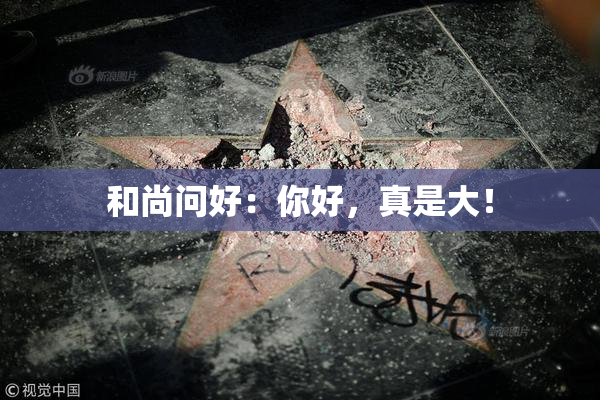 和尚问好：你好，真是大！