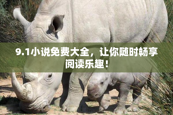 9.1小说免费大全，让你随时畅享阅读乐趣！