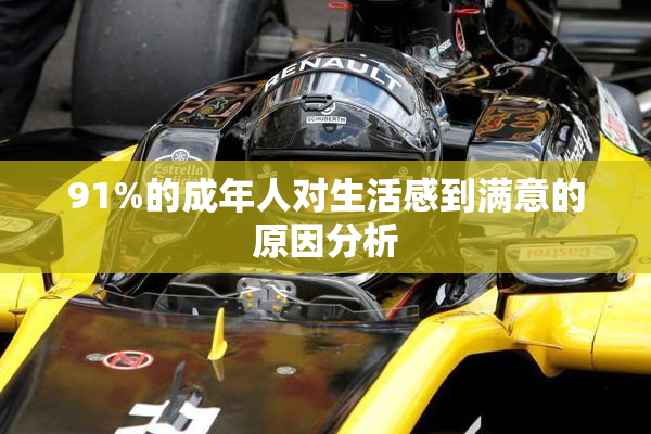 91%的成年人对生活感到满意的原因分析