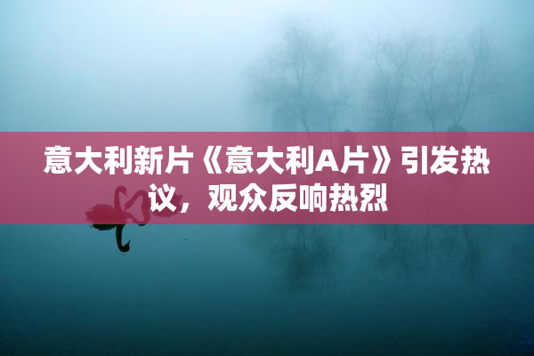 意大利新片《意大利A片》引发热议，观众反响热烈