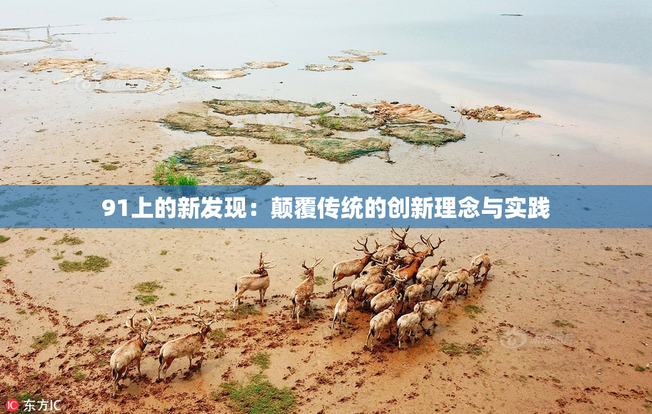 91上的新发现：颠覆传统的创新理念与实践