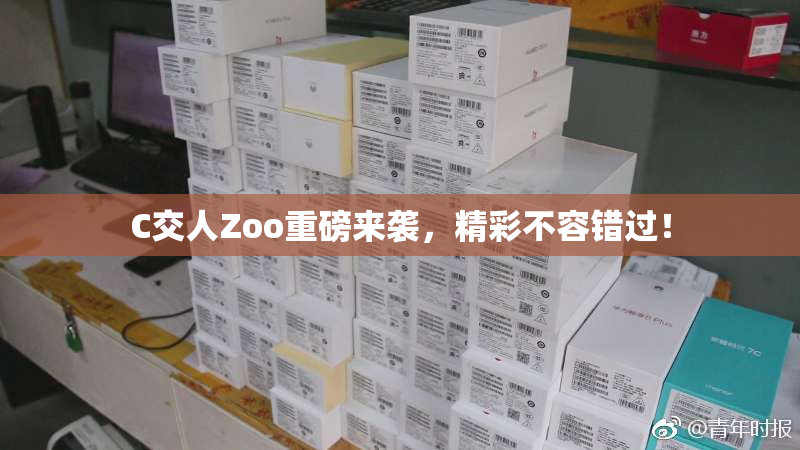 C交人Zoo重磅来袭，精彩不容错过！