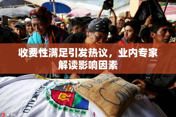 收费性满足引发热议，业内专家解读影响因素