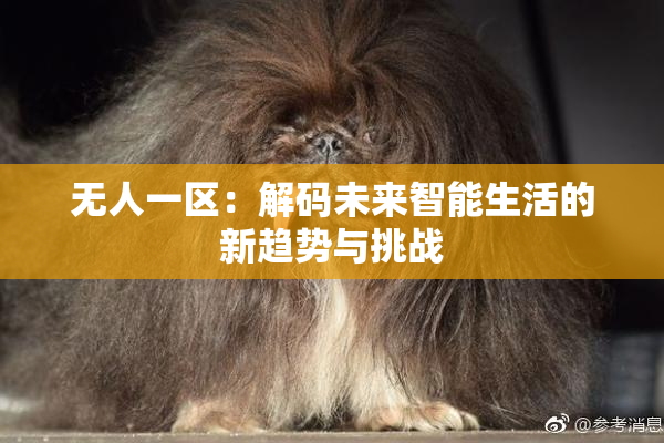 无人一区：解码未来智能生活的新趋势与挑战