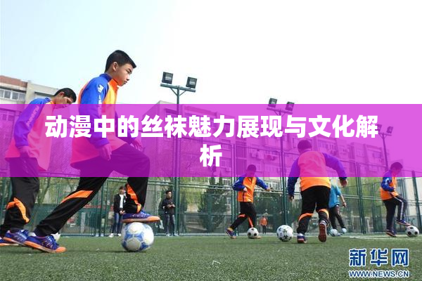 动漫中的丝袜魅力展现与文化解析