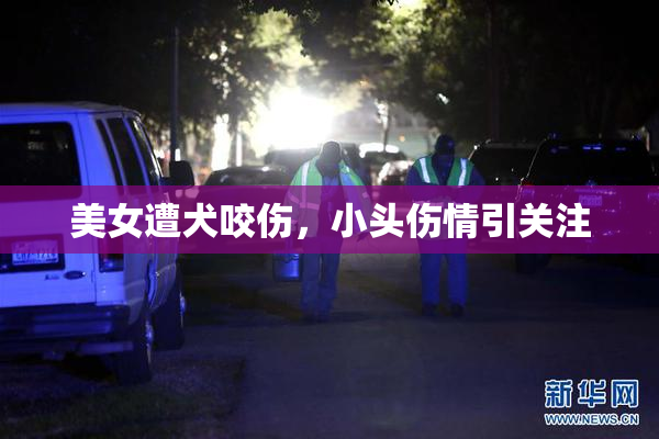 美女遭犬咬伤，小头伤情引关注