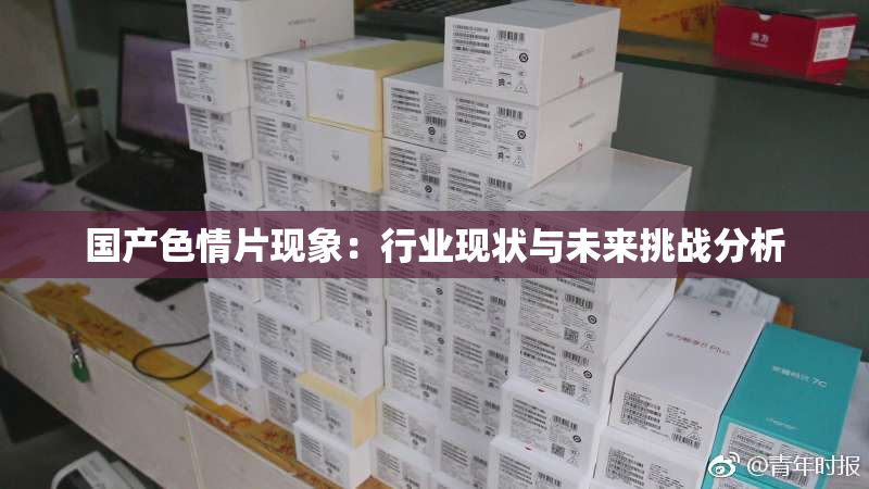 国产色情片现象：行业现状与未来挑战分析