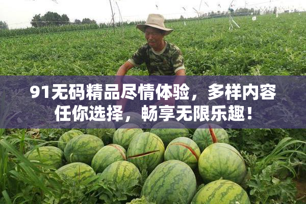 91无码精品尽情体验，多样内容任你选择，畅享无限乐趣！