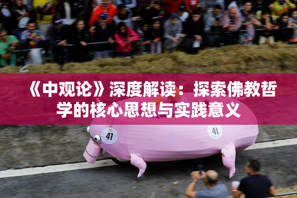 《中观论》深度解读：探索佛教哲学的核心思想与实践意义