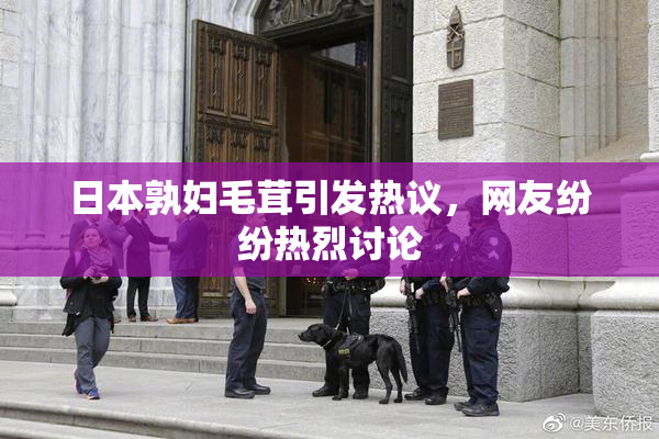 日本孰妇毛茸引发热议，网友纷纷热烈讨论