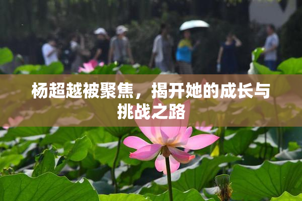 杨超越被聚焦，揭开她的成长与挑战之路