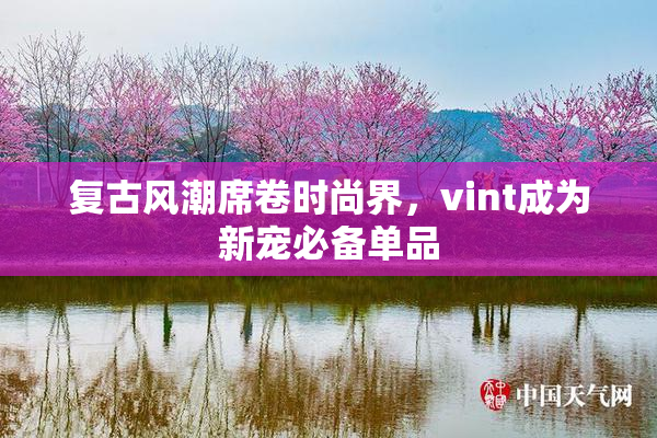 复古风潮席卷时尚界，vint成为新宠必备单品