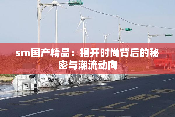 sm国产精品：揭开时尚背后的秘密与潮流动向