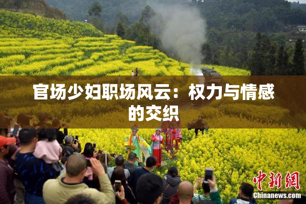 官场少妇职场风云：权力与情感的交织