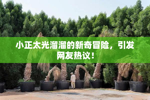 小正太光溜溜的新奇冒险，引发网友热议！