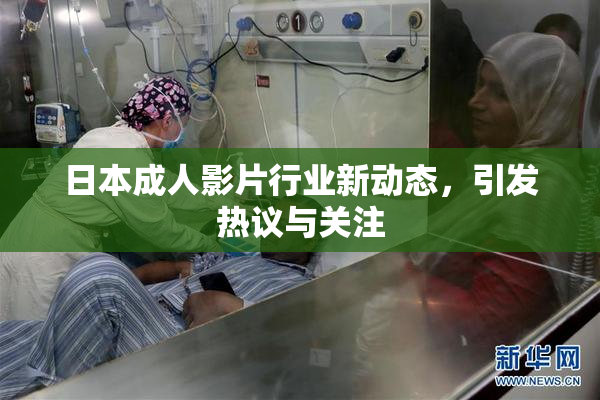日本成人影片行业新动态，引发热议与关注