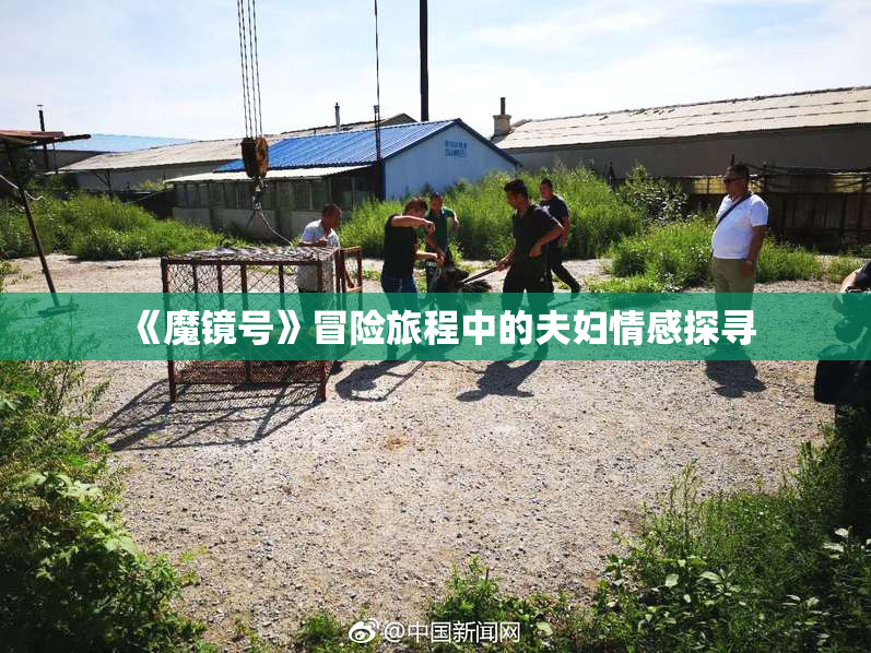 《魔镜号》冒险旅程中的夫妇情感探寻