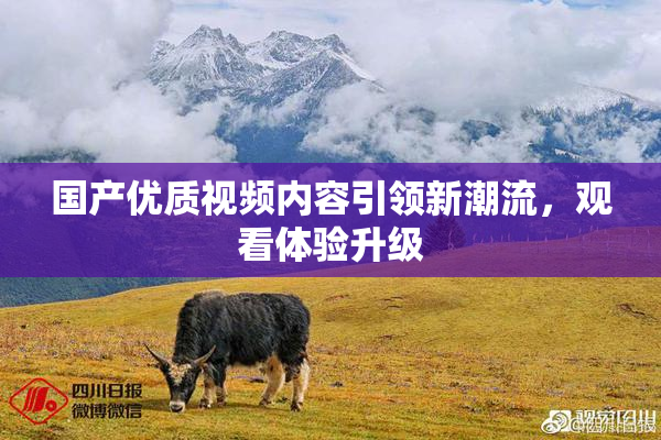 国产优质视频内容引领新潮流，观看体验升级
