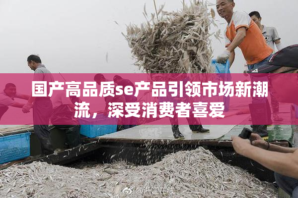 国产高品质se产品引领市场新潮流，深受消费者喜爱