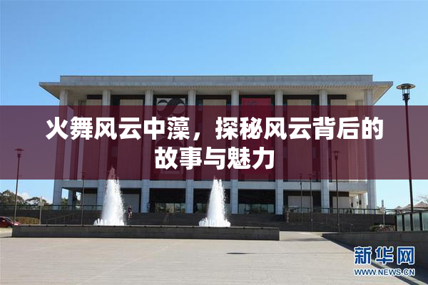 火舞风云中藻，探秘风云背后的故事与魅力