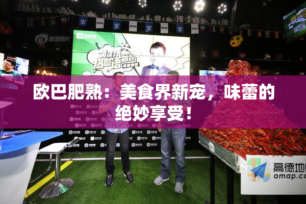 欧巴肥熟：美食界新宠，味蕾的绝妙享受！