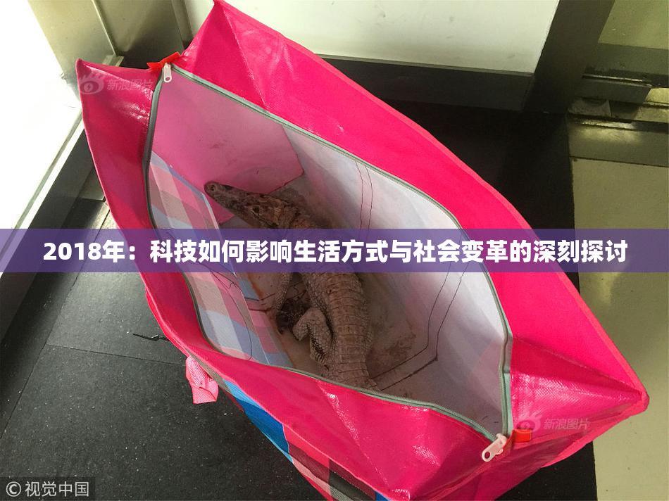 2018年：科技如何影响生活方式与社会变革的深刻探讨