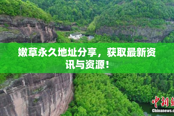 嫩草永久地址分享，获取最新资讯与资源！