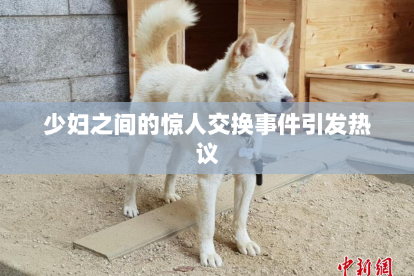 少妇之间的惊人交换事件引发热议
