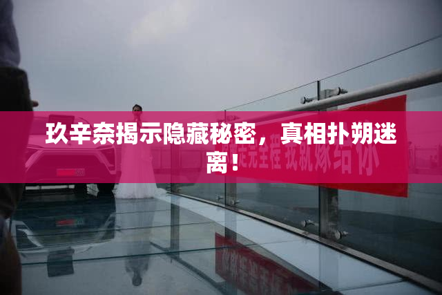玖辛奈揭示隐藏秘密，真相扑朔迷离！