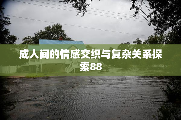 成人间的情感交织与复杂关系探索88
