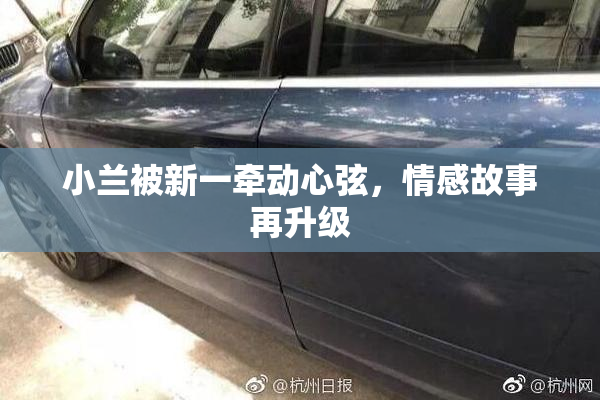小兰被新一牵动心弦，情感故事再升级
