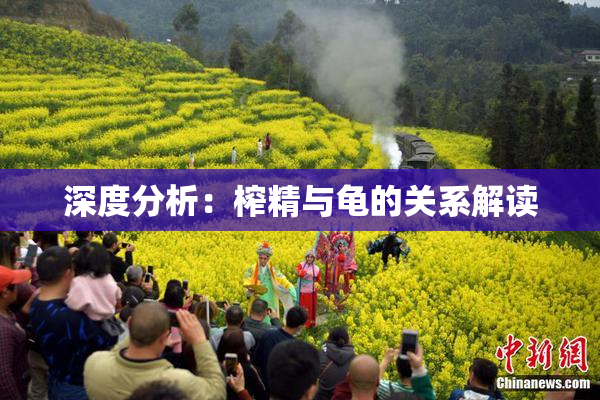 深度分析：榨精与龟的关系解读