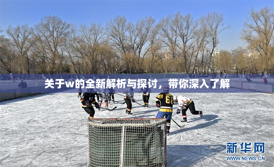 关于w的全新解析与探讨，带你深入了解